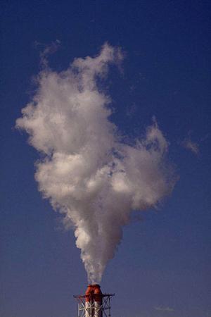 CBDグミのOEMにおすすめの会社